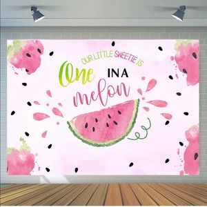 One in a Melon Birthday Outfit & Decorations